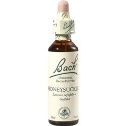 Die Abbildung zeigt eine kleine Flasche mit "Bach-Blüten" Etikett.
