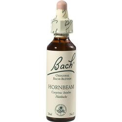 Eine Flasche Bach-Blüten-Tropfen mit der Aufschrift "Hornbeam".