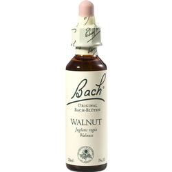 Eine Flasche Bachblüten-Essenz mit der Aufschrift "Walnut".